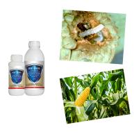 Bacillus Thuringiensis Chilli Thrips Insecticidas para el extractor de tallo en el arroz Bio y químico Beta Cypermethrin