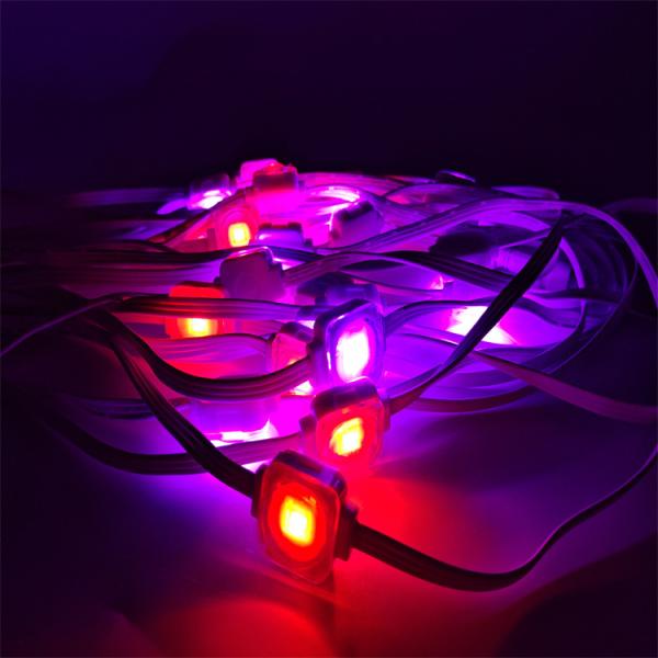 Lampes extérieures LED permanentes avec certification CE et 3 LED SMD5050 RGBW