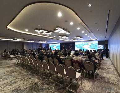 High Productivity Frozen French Fries Production Line for Fully Automatic Processing