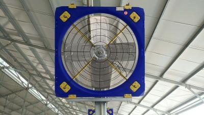 Processo de moldagem de uma peça Terrui Ventilador de gado Design personalizado Economia de energia e longa vida