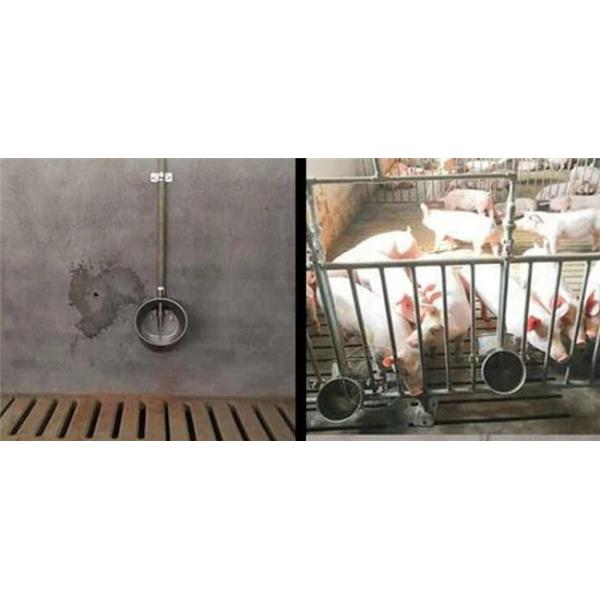 Stainless Steel Hog Waterer Pig Feeders and Drinkers Pig Water Drinkers