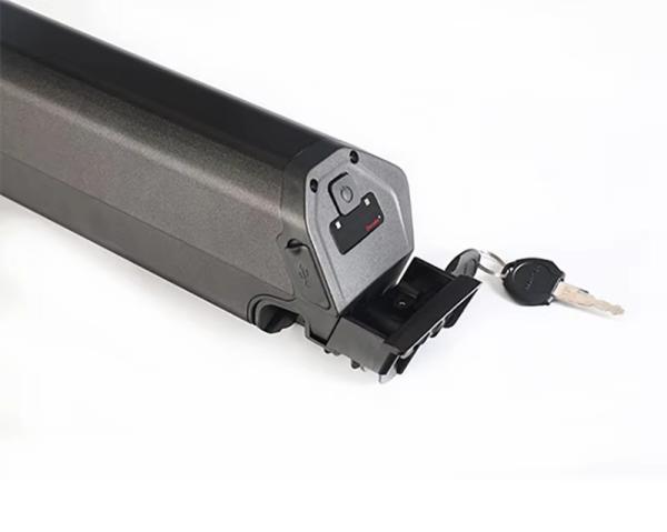 Dorado E Bike Electric Bicycle Battery Pack 24V 36V 48V 13Ah 15Ah 16Ah