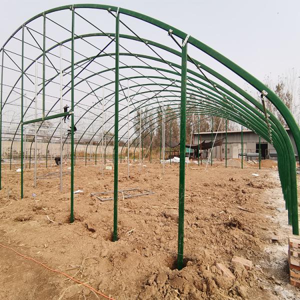 El pollo de la avicultura de la agricultura calentó el invernadero automático