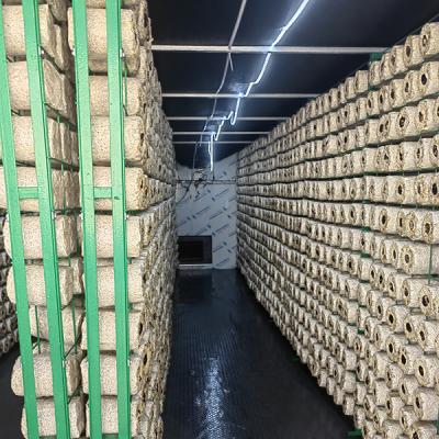 Mushroom Growing Multi Layer Greenhouse Insulation Board Mushroom Growing Kit