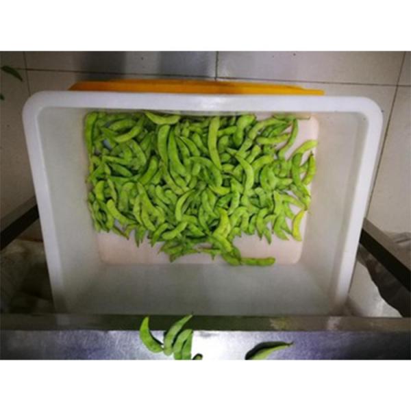 China Wholesales  Frozen Bulk Edamame Beans Edamame