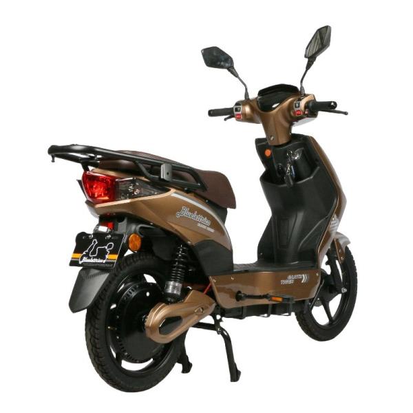 Steel Frame Electric Moped Bike With Pedals LCD Display 48V 31.2Ah Lithium Battery