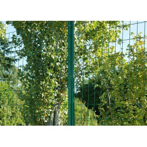 Low Carbon Powder Coated Steel Wire Fencing 2-6.0mm Dia With Euro Style