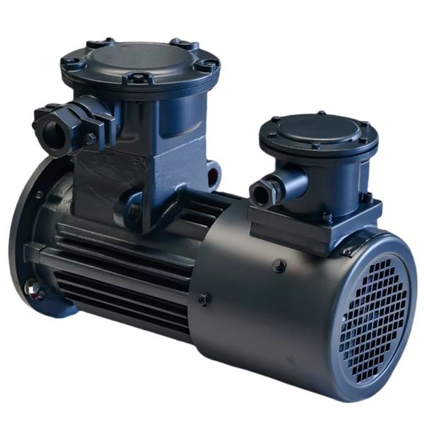 Flameproof 5.5~11kW 750rpm Three-Phase Asynchronous Motor with Variable Frequency Drive for Industrial Applications