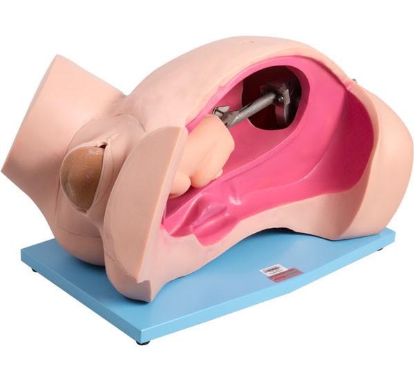 Mechanism Demonstration Natural Childbirth Simulator