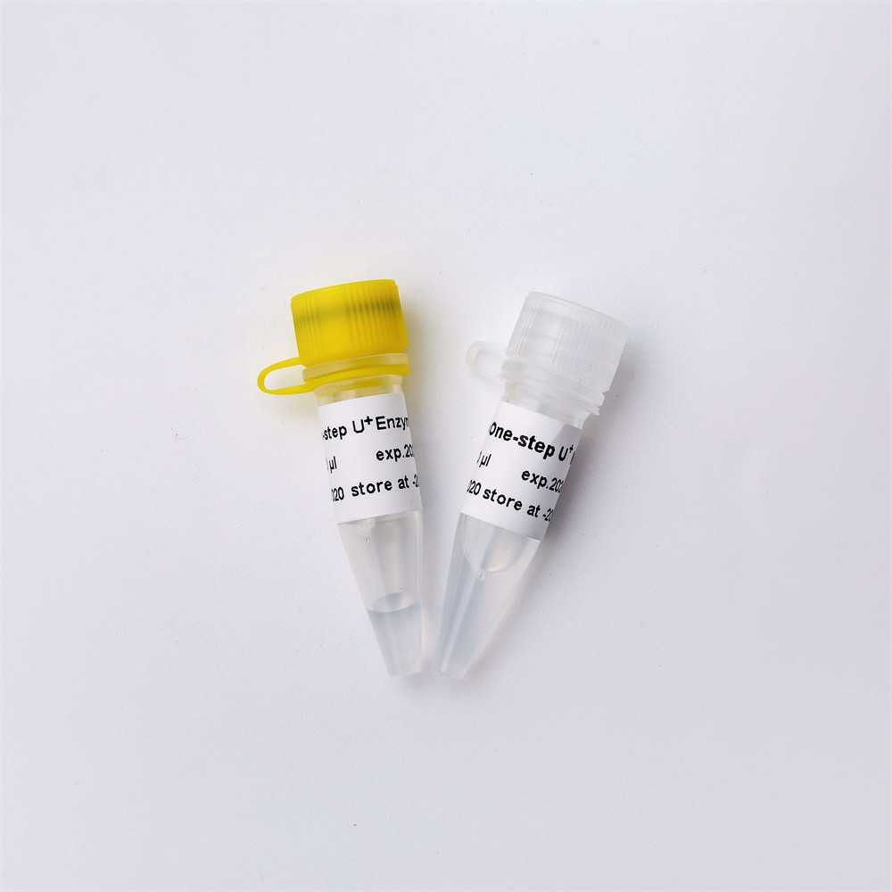 Одно смешивание шага RNA/DNA RT QPCR мастерское с UDG V3