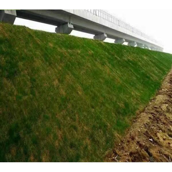 Кокосовый мат из нетканого материала и армированного георешеткой кокосового волокна для создания растительности