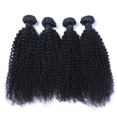 Brazilian Virgin Kinky Curly Raw Hair Bundles Cuticle Aligned 10A Grade