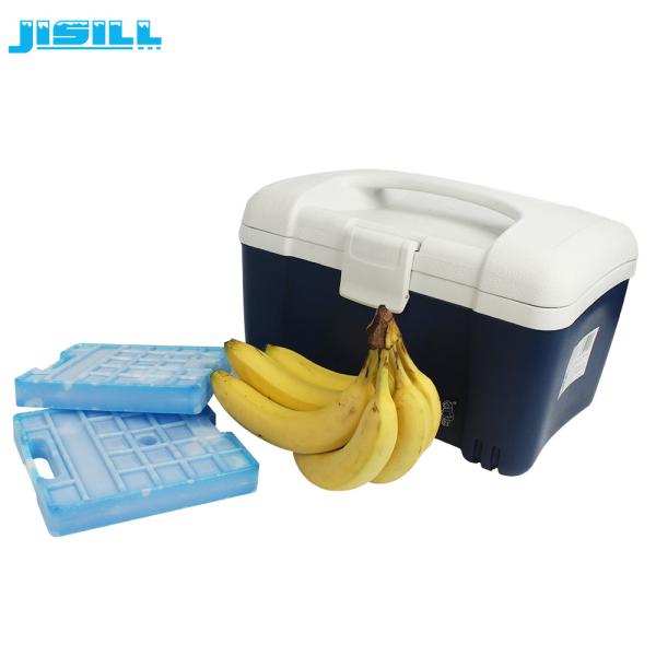 Hard PlasticTransport  Medical Ice Packs With Perfect Sealing  And Ultrasonic Welding