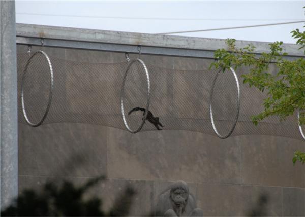 Macaw Aviary Zoo 1.5mm Steel Wire Rope Mesh For Enclosure Fence