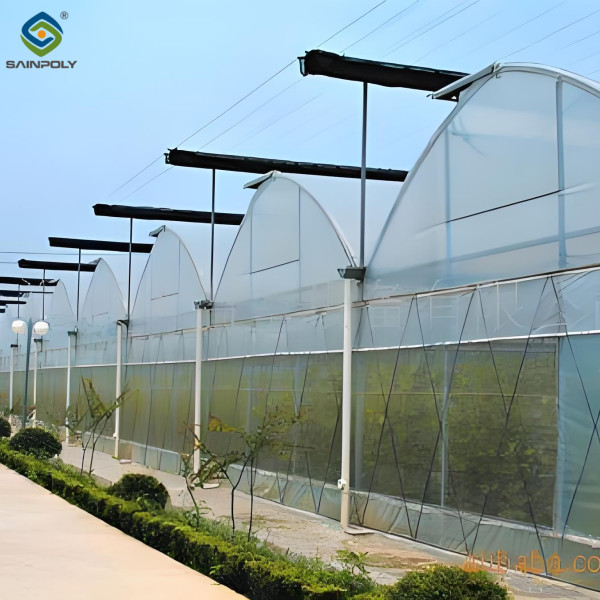 Agricultural Multi Span Poly Film Greenhouse Stable Hydroponic Growing Systems