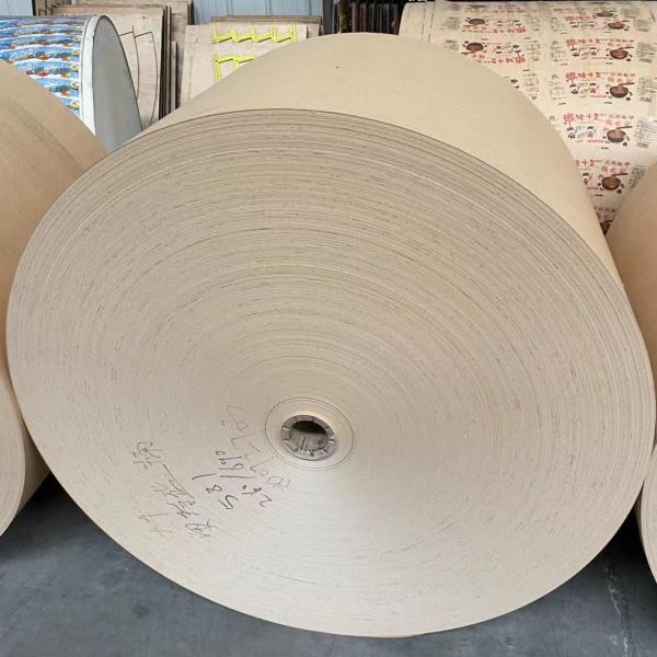 White Kraft PE Coated Paper Roll 135gsm For Bowl Semi Finished