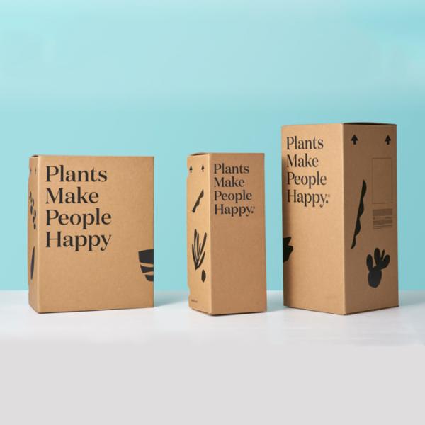 Customized Recycled Shipping Mailer Kraft Paper Gift Packing Box Hard Corrugated