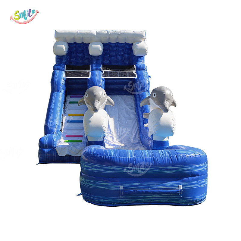 Commercial Grade Inflatable Dolphin Water Slide Dual Lane with Splash Pool for Party Rental