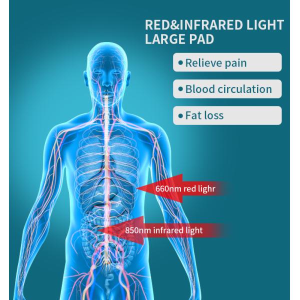 Домашняя светодиодная инфракрасная терапия красным светом Сауна Покрывало для выздоровления 660nm 850nm