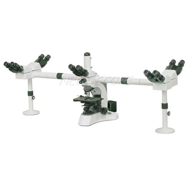 Binocular Multi Viewing Microscope EW10×/ 20 With Halogen Lamp