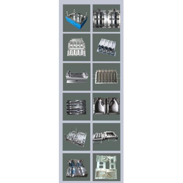 Plastic Bottle Blow Molding Mold Single Cavity Multiple Cavity for Household Product