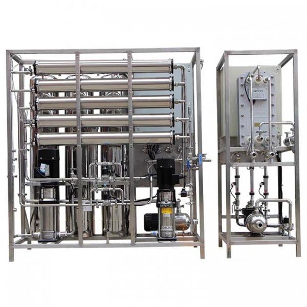 Máquina 500L/H da osmose do RO EDI Water Plant Industrial Reverse da desinfecção da água