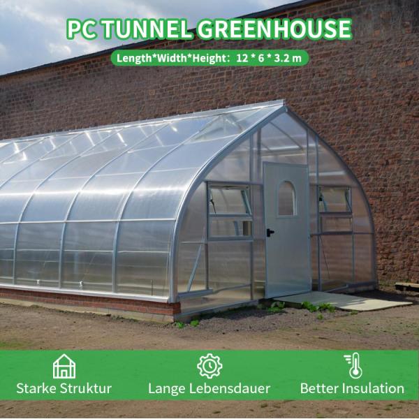 Baolida 6x12m Gothic Tunnel Greenhouse with 8mm PC Board Cover