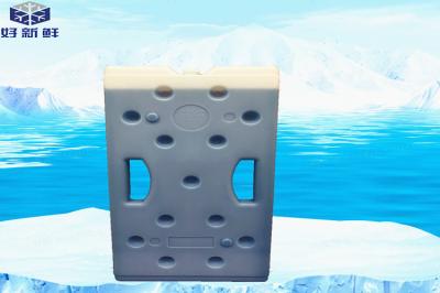 Food Grade Material Ice Brick Freezer Pack For Cold Chain Transport Keep Fresh 2000ml