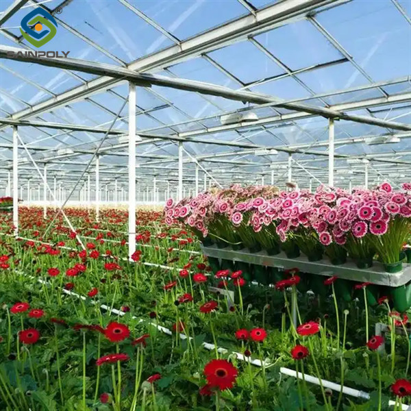 UV Resistant Mutli Span Flower Greenhouse Venlo Arch Type Waterproof