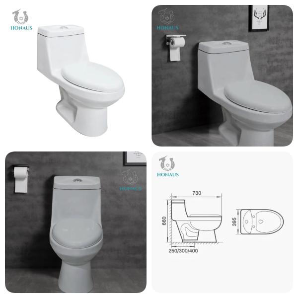 Traditional Single Piece Water Closet Commode Anti Stain Glazed Odor Isolation