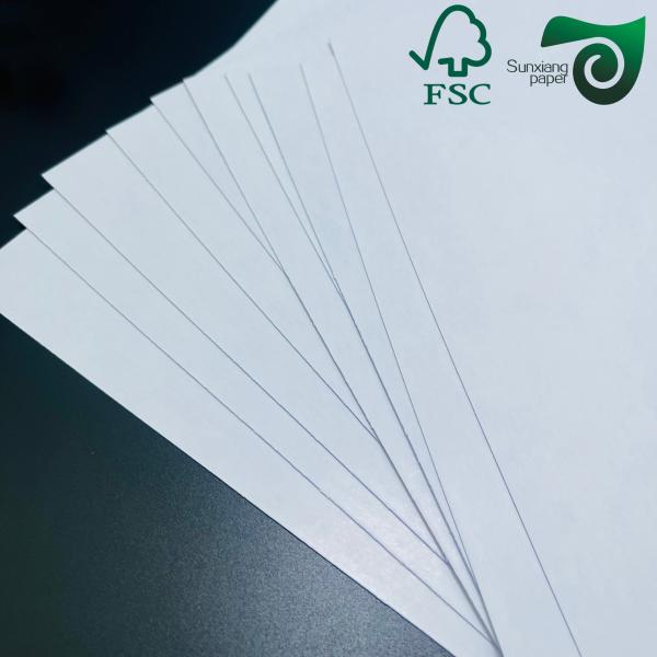 Multi Purpose FSC 200μM PET Film Paper For Export Packaging Industrial Labels