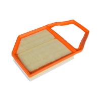 24552164 Remplacement du filtre à air de cabine Filtre à air alternatif automobile 376 mm
