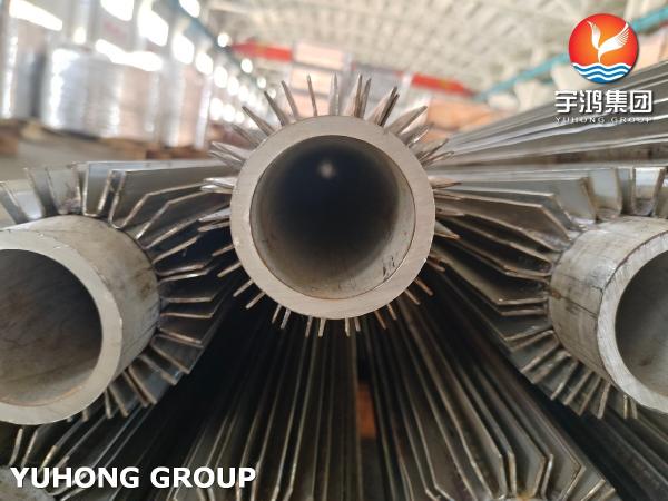 ODM Stainless Steel Longitudinal Finned Tube Heating Pipe ASTM A213 TP316L
