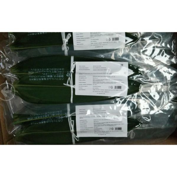 Wholesale  Natural Sushi Fresh Bamboo Leaf Leaves