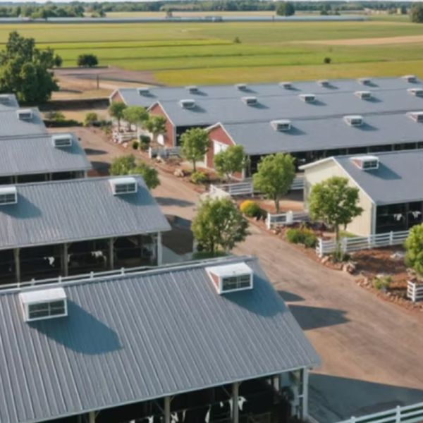 Prefabricated Warehouse Steel Structure Building Framework Factory Metal Work Plant Factory