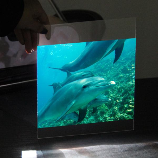 Filme de projeção traseira cinza transparente 3D Publicidade Ecrã holográfico