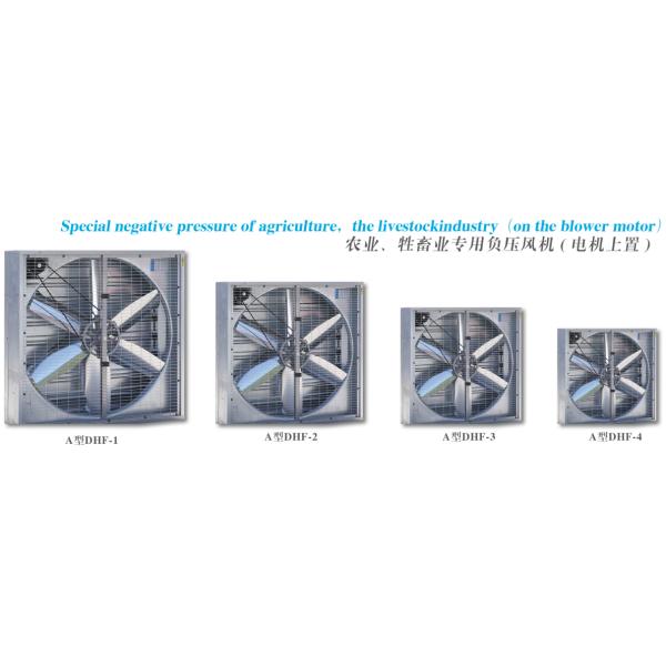 DHF Direct drive spray white exhaust fan/ blower fan/ ventilation fan