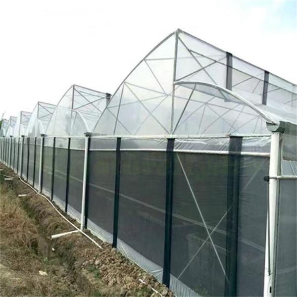 Hot Dip Galvanized Steel Pipe Green House Hothouse Ventilated Plastic Sawtooth Multi-span Film Tropical Greenhouse