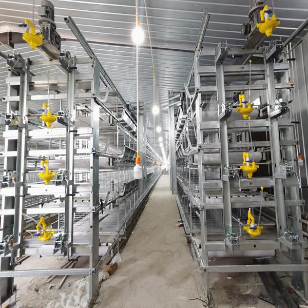 HDG équipement de cage de poulet, 3 ou 4 couches de cage de batterie de volaille