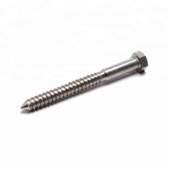DIN 571 Hexagon Head Wood Screws 316L Stainless Steel Coach Screws