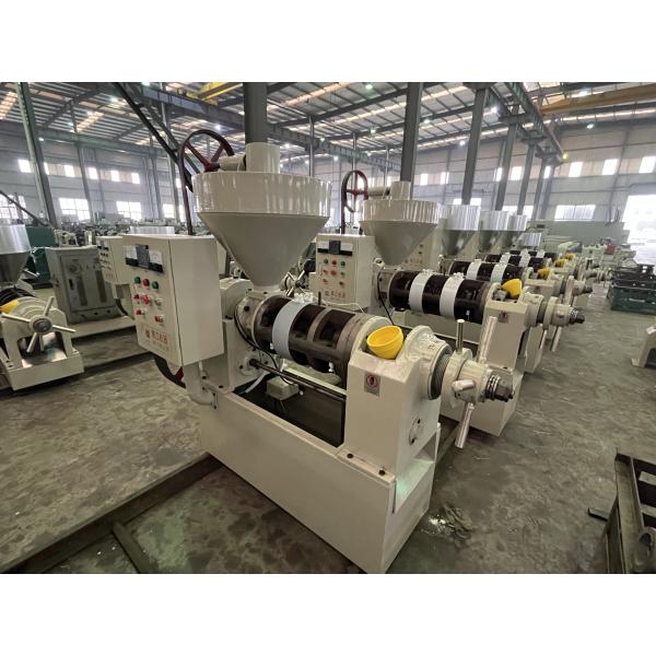 Industrial Cold Press Extraction Oil Machine For Soybean Sesame Oil Edible Oil Line