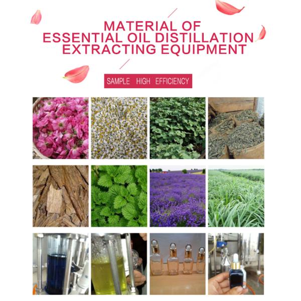 220V/380V Voltage Jasmine Essential Oil Extractor Machine Lavender Steam Distillation Equipment