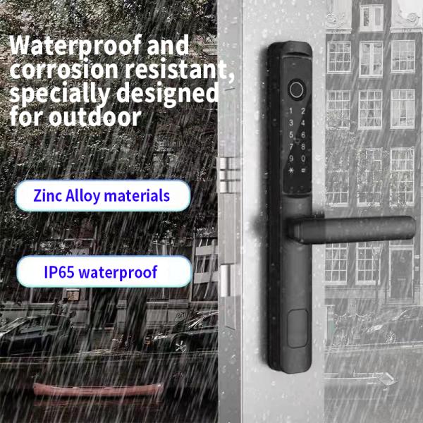 Mobile Ev Fast Charger Station 60A 80A 125A 250A Chademo Fast Ev Car Dc Charger Gun Cable