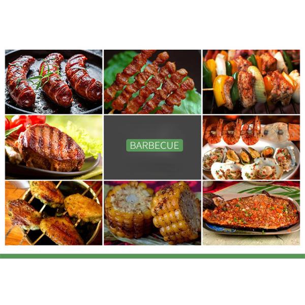 Chrome Plated Rotating Skewer Suitcase Grill Perfect for Camping and Outdoor Cooking