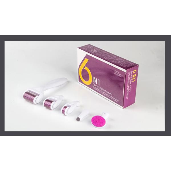 High quality factory sales 6 in 1 derma roller custom logo needles micro needle roller derma skin roller CE approved