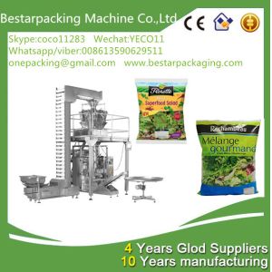 Vertical packaging machine