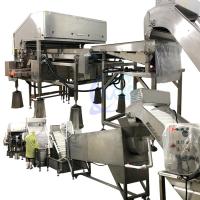 Instalação durável de processamento de camarão de 800W, sistema automático de remoção de cabeças de camarão