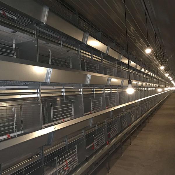 Top Quality H Frame Brooding Chicken Cage Pullet Cage With EU standard