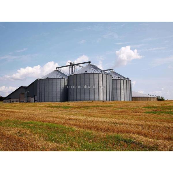 STGF50 5000 тонн Машины для хранения кукурузы, риса и пшеницы
