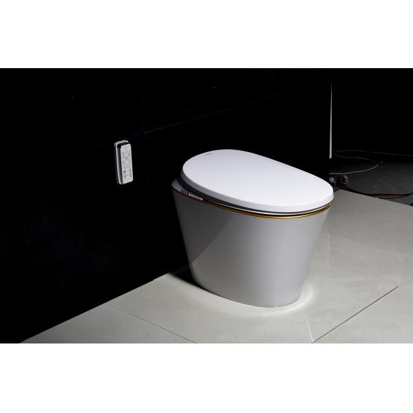 Automatic Opening One Piece Toilet Warm Water Washing Function With Night Lamp